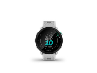 Garmin Forerunner 55, Whitestone