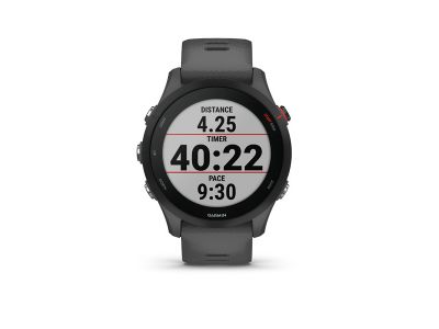 Garmin Forerunner 255 watch, Slate Grey