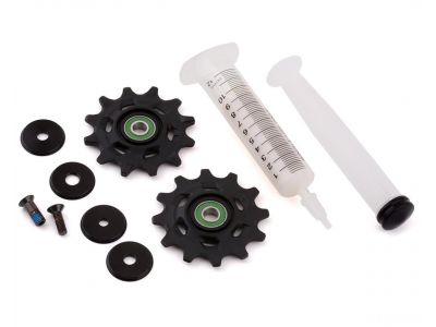 Sram Red XPLR AXS Ceramic derailleur pulleys + vaseline